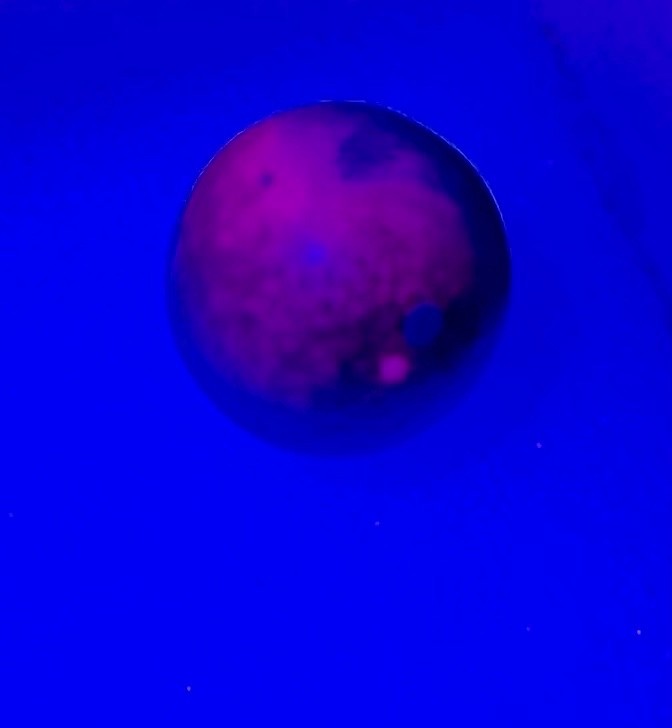 Vintage UV Uranium Marble Glows under Black Light ~ 1910 Estate Farm Find ~