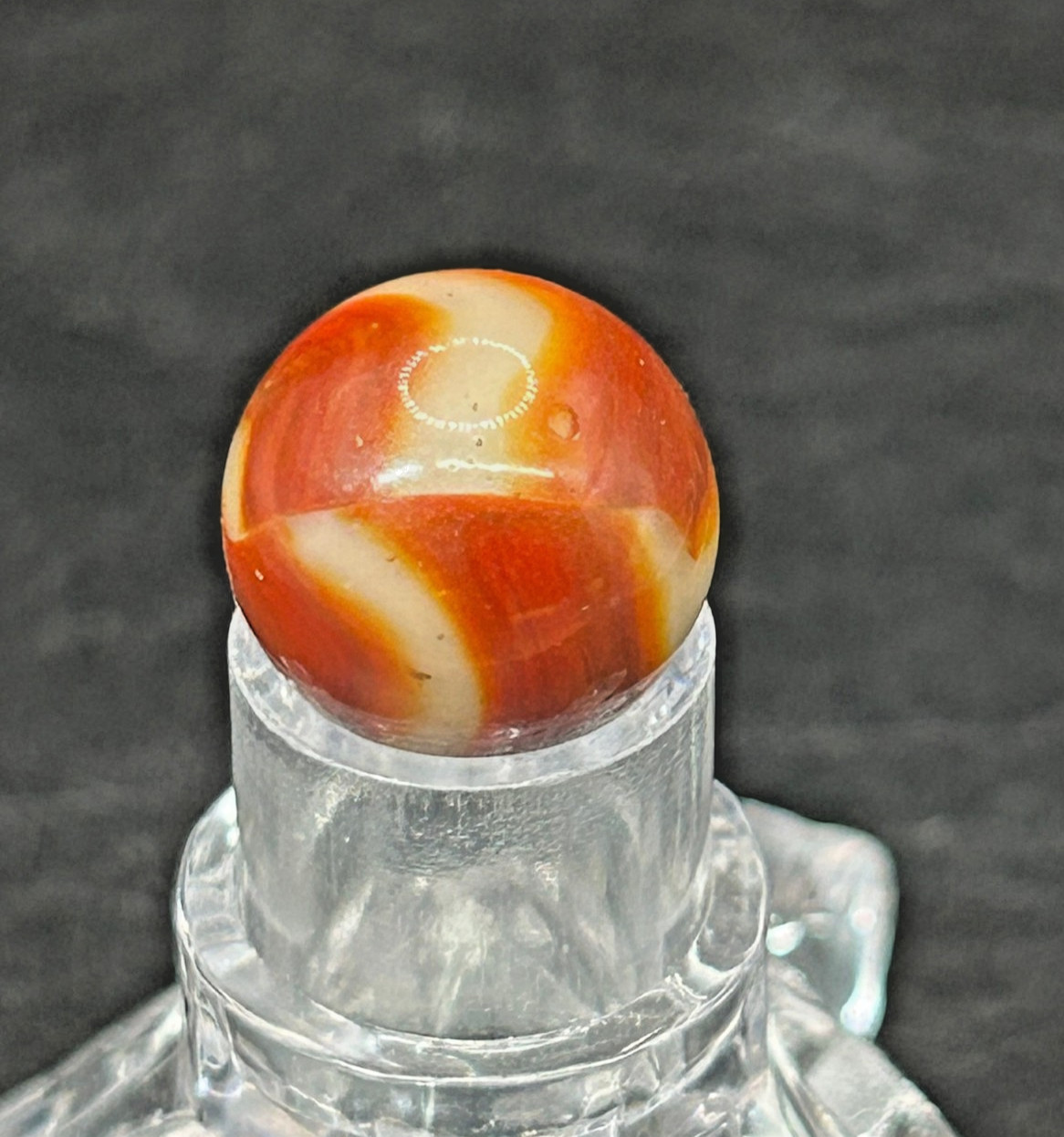 Peltier National Line Rainbo Orange & Cream “Creamsicle” .59″ Mint P1