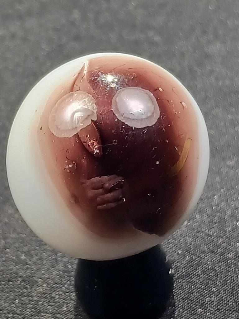 Marble King .93″ Chestnut Brown Pearl White Shooter Near Mnt Serious Marble A385