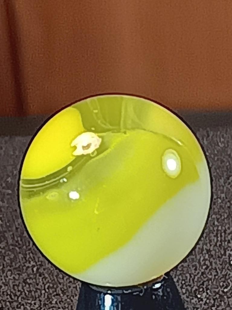 5/8″ Vitro Agate Lemon Chiffon Ice White Patch on Clear NM Serious Marble B80