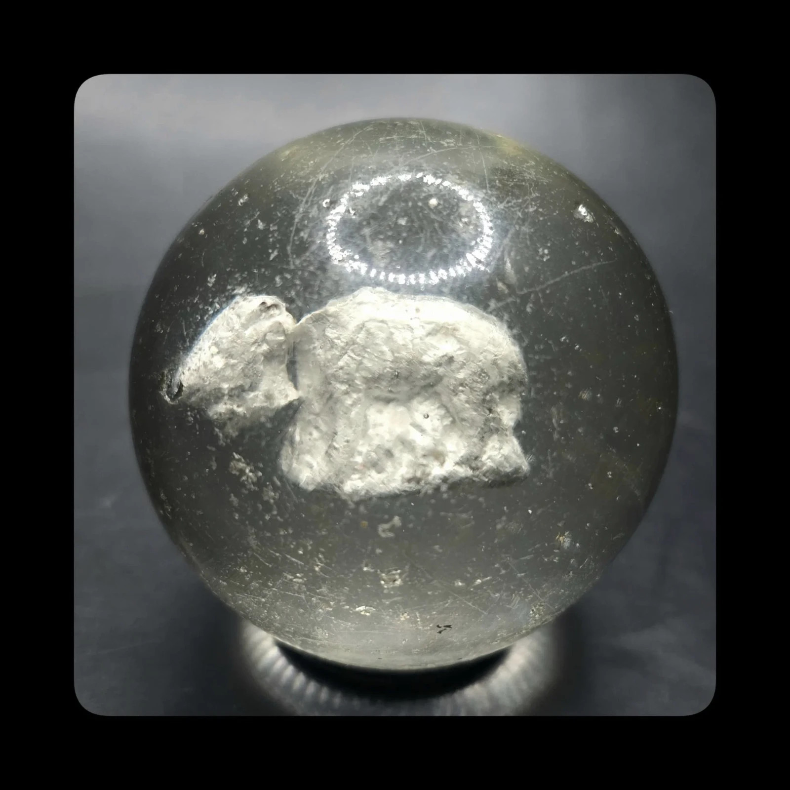 ~Mic’sMibs~ 1.91″ Rare German Buffalo Sulphide NM+ 8.8