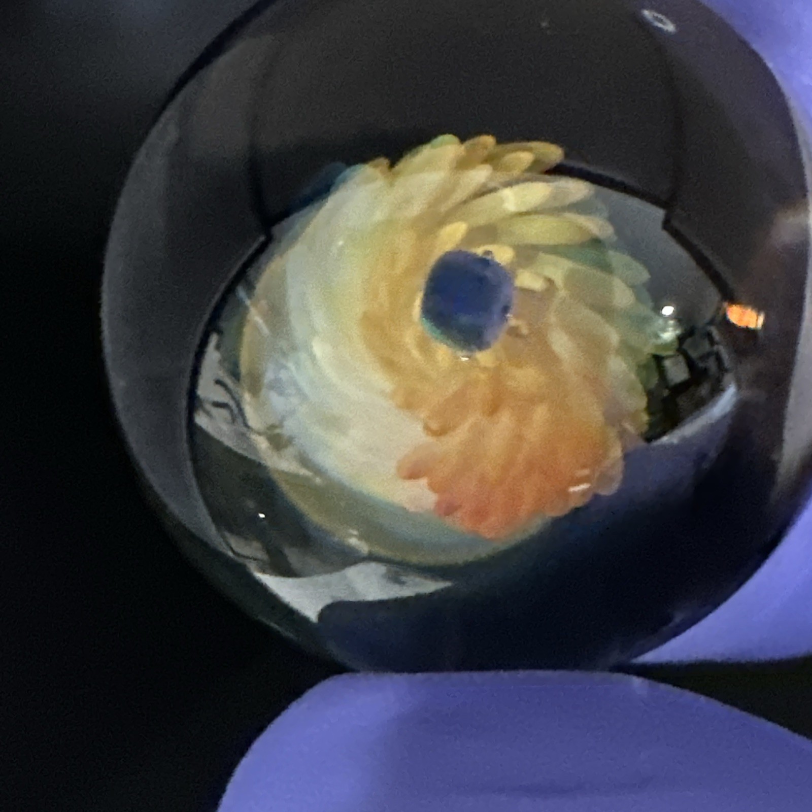 Contemporary Handmade Art Glass Marble 1.26″ Fumed Spiral Swirl + Opal, Boro MIB