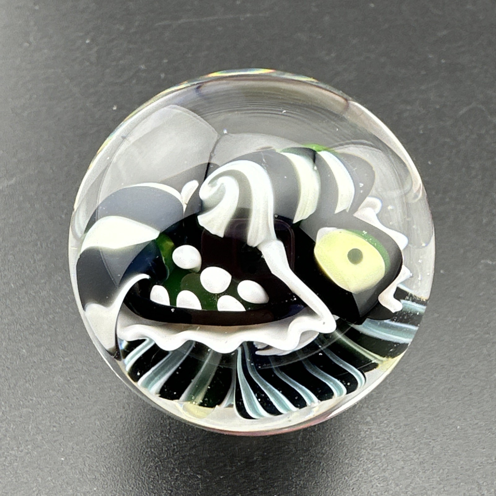 Contemporary Handmade Art Glass Marble 1.36″ Black White Monster, Flower, + UV!