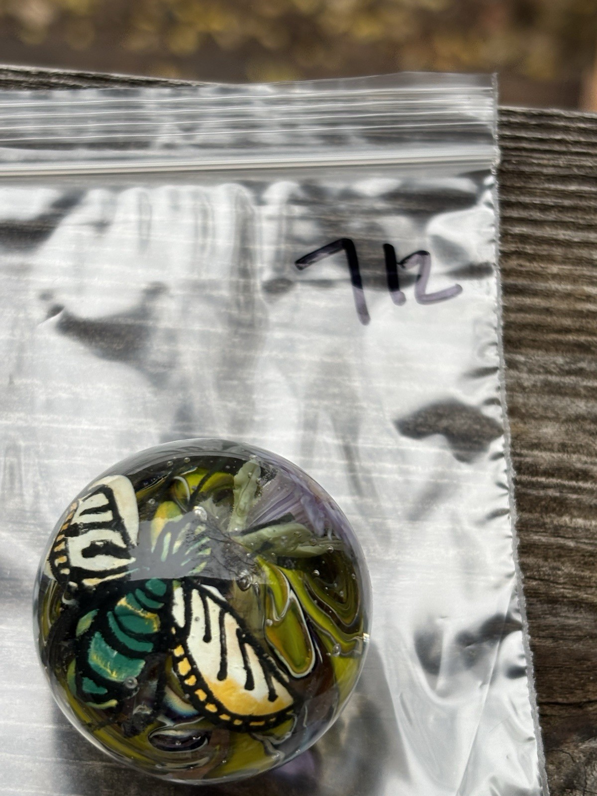 handmade art glass marble “fantasy bug ” By Sara Sally LaGrand Hand Painted