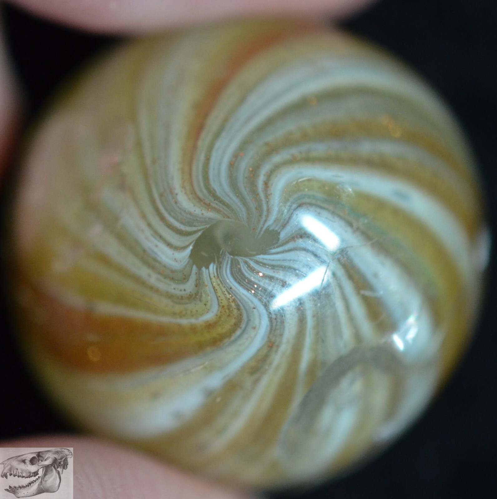 Large Handmade White Onionskin Lutz Marble, 13/16 in, Polished, Germany, S916