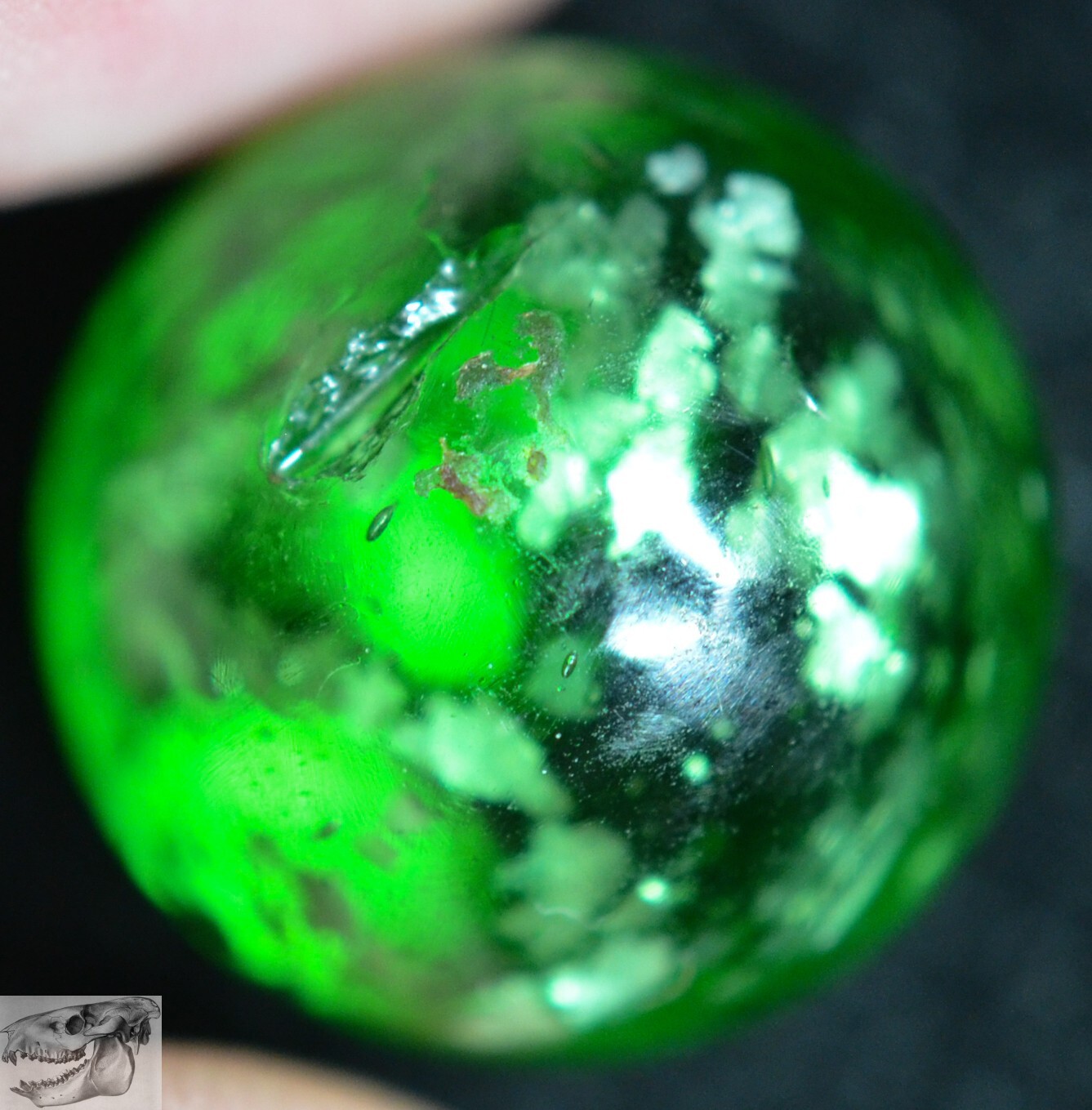 Handmade Green Mica Marble, 11/16 in, Polished, Large Flakes, Germany S907