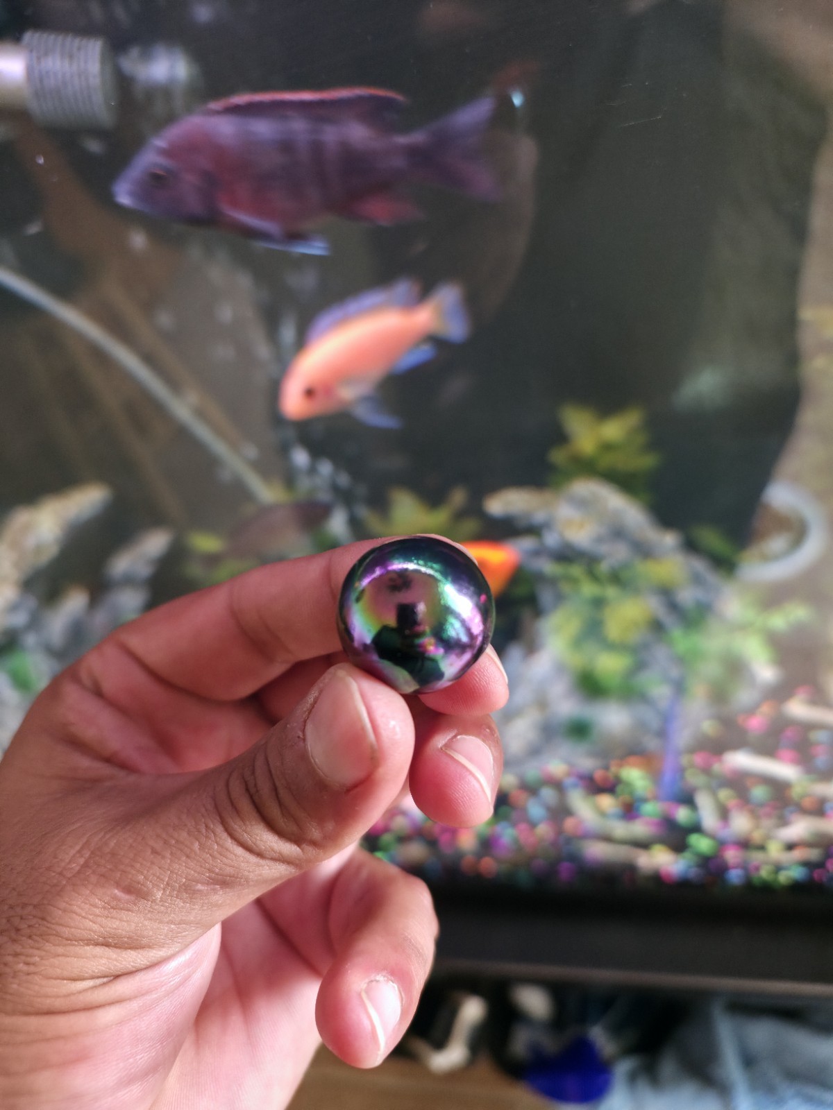 1st edition holographic Charizard marble