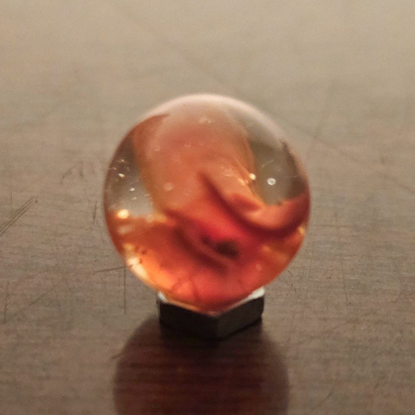 C E Bogard Orange 4- Lobe Floppy Cats Eye Clear Glass .593 Marble