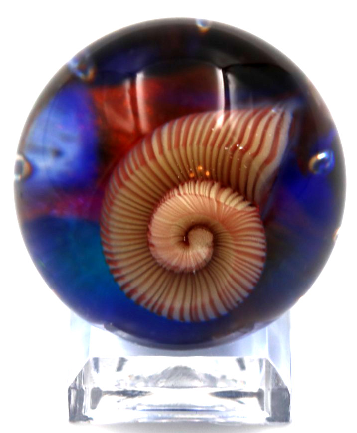 Beautiful MARCO JERMAN Nautilus Shell Art Glass MARBLE 2003