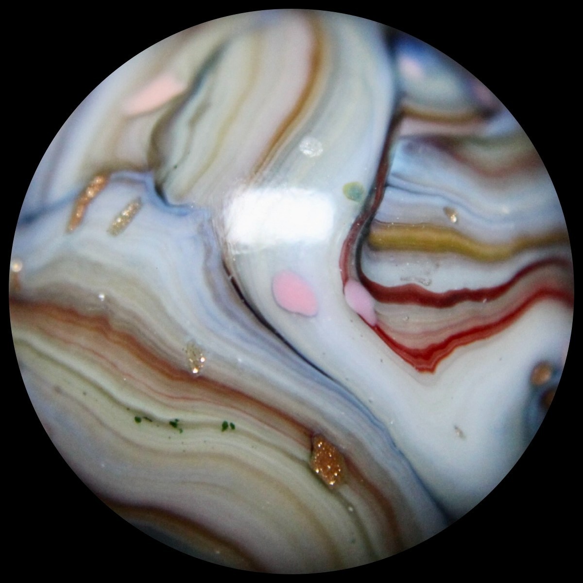 JABO Gold Medal Marble Collector Series: BIG Baby Blue Lutz Guinea 0.784″