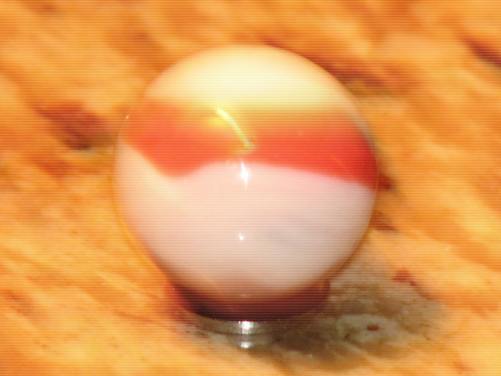 Large .980 in dia. Akro? pelter?, White with orange, grey, blue marble, mint