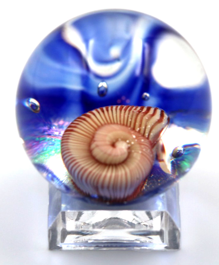 Beautiful MARCO JERMAN Nautilus Shell Art Glass MARBLE 2003