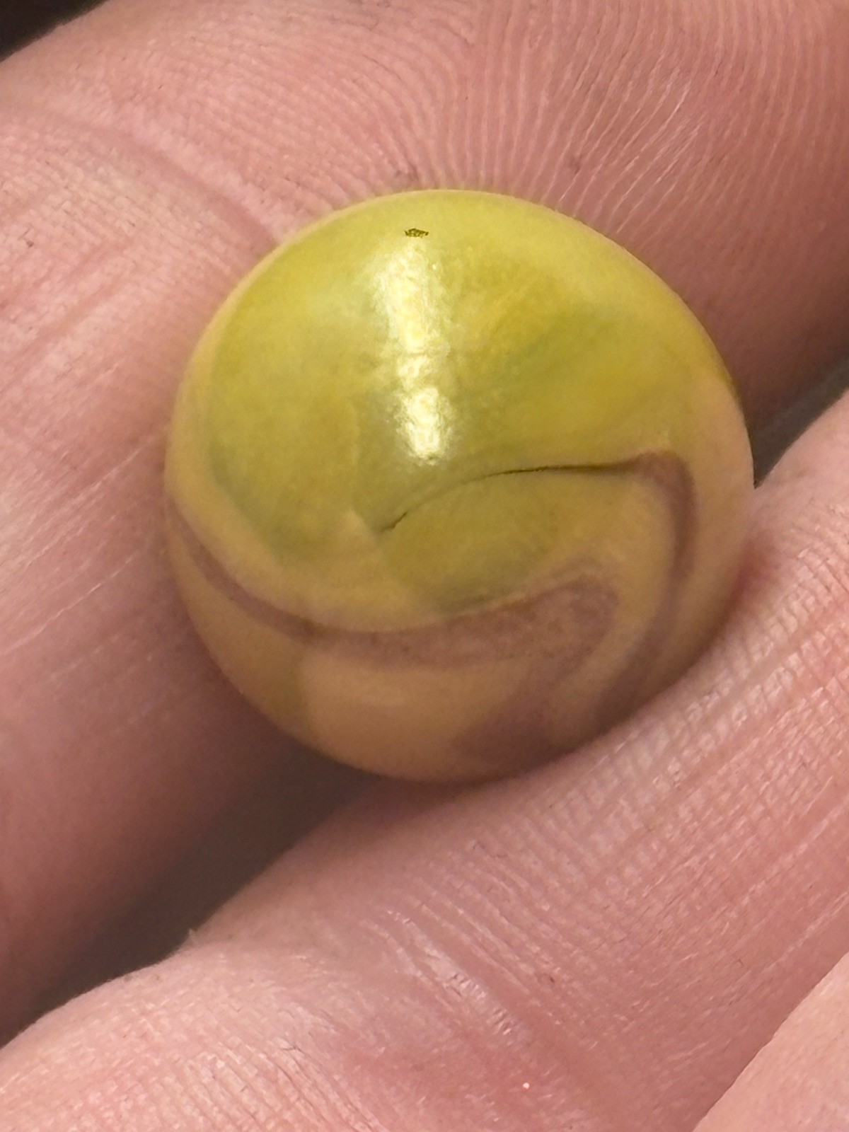 Vintage Christensen Agate Striped Opaque 3/4″ Shooter Marble