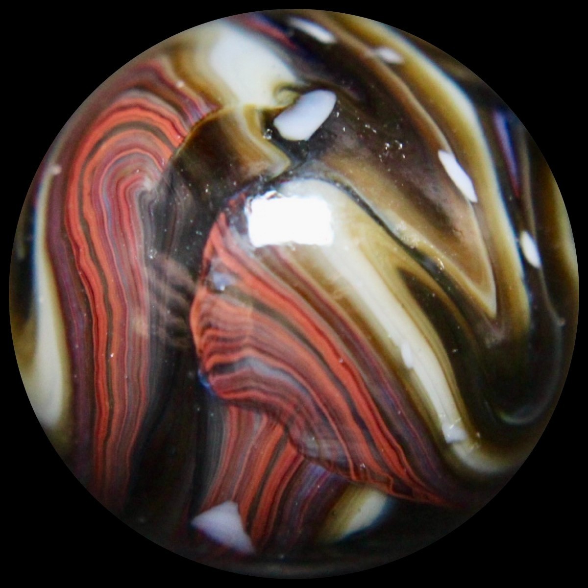 JABO Gold Medal Marble Collector Series: Big Chocolate Raspberry Guinea 0.763″