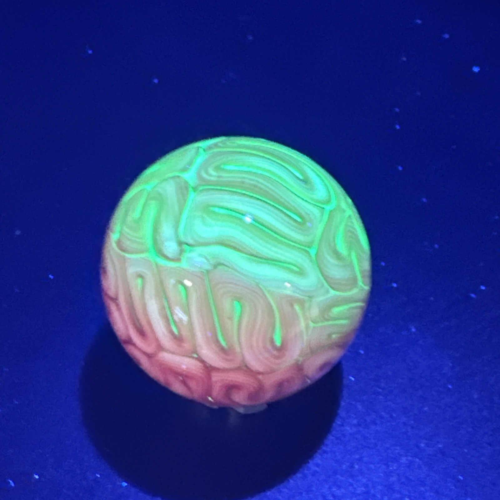 Contemporary Handmade Art Glass Marble 1.12″ UV Reactive BRAIN Pink White MIB