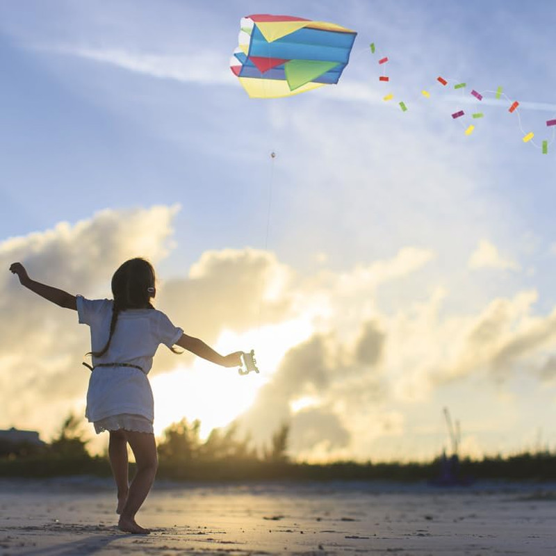 Miniature Pocket Kite by