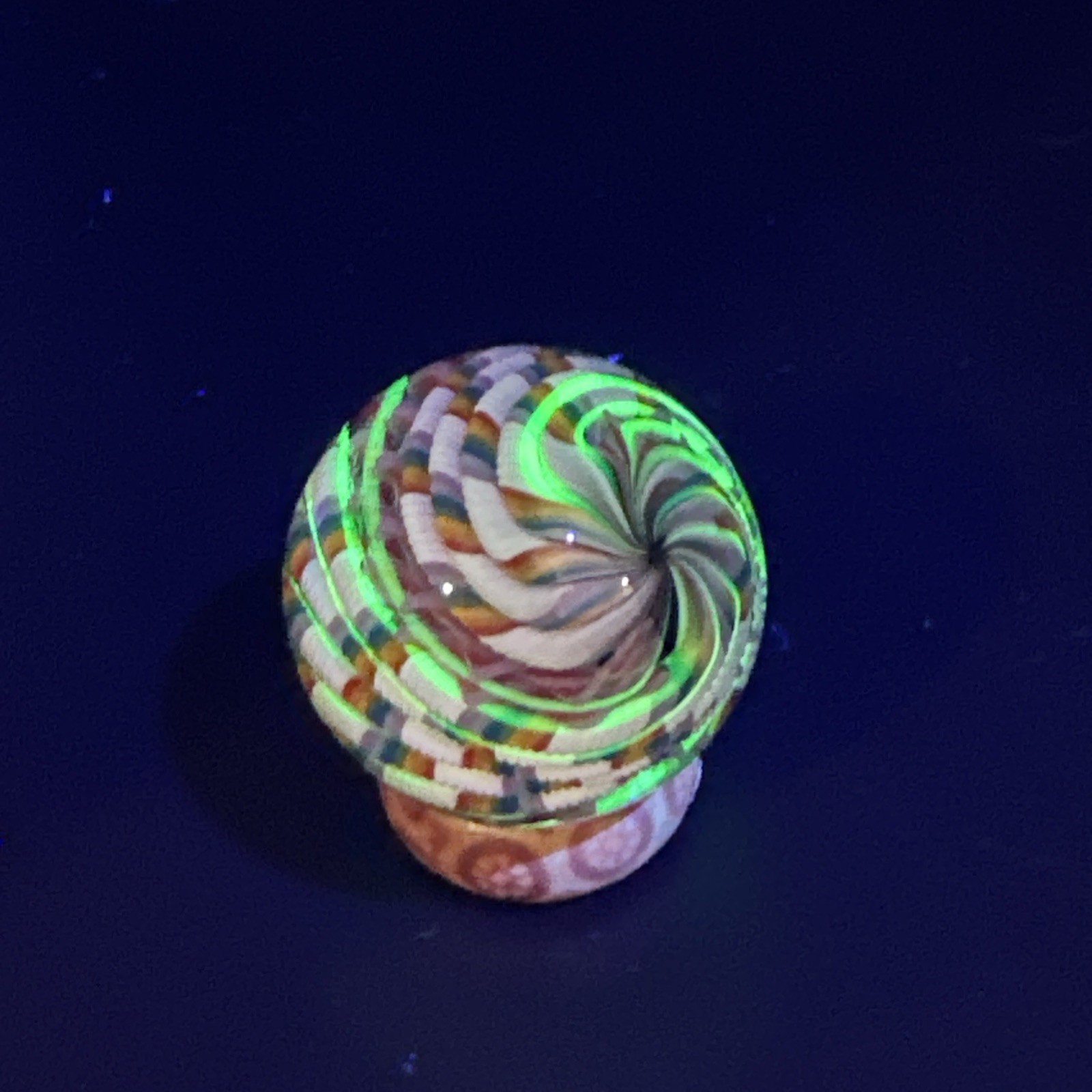 Contemporary Handmade Art Glass Marble 1.34″ Rainbow White Pink Cane, Black Core