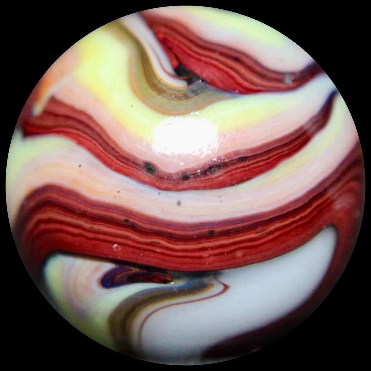 JABO Frankies Marble Collector Series: FAT Oxblood Pinky