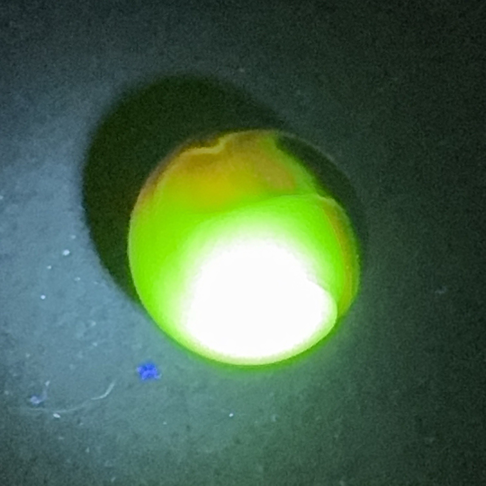 Jabo Green Eggs And Ham Run Marble Size .91 +/- (1632) Shooter Manufacturing