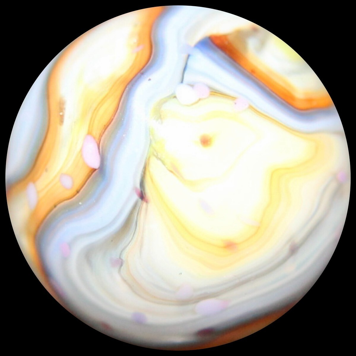 DAS Equinox Marble: “Buttermilk” Family Lutz Guinea