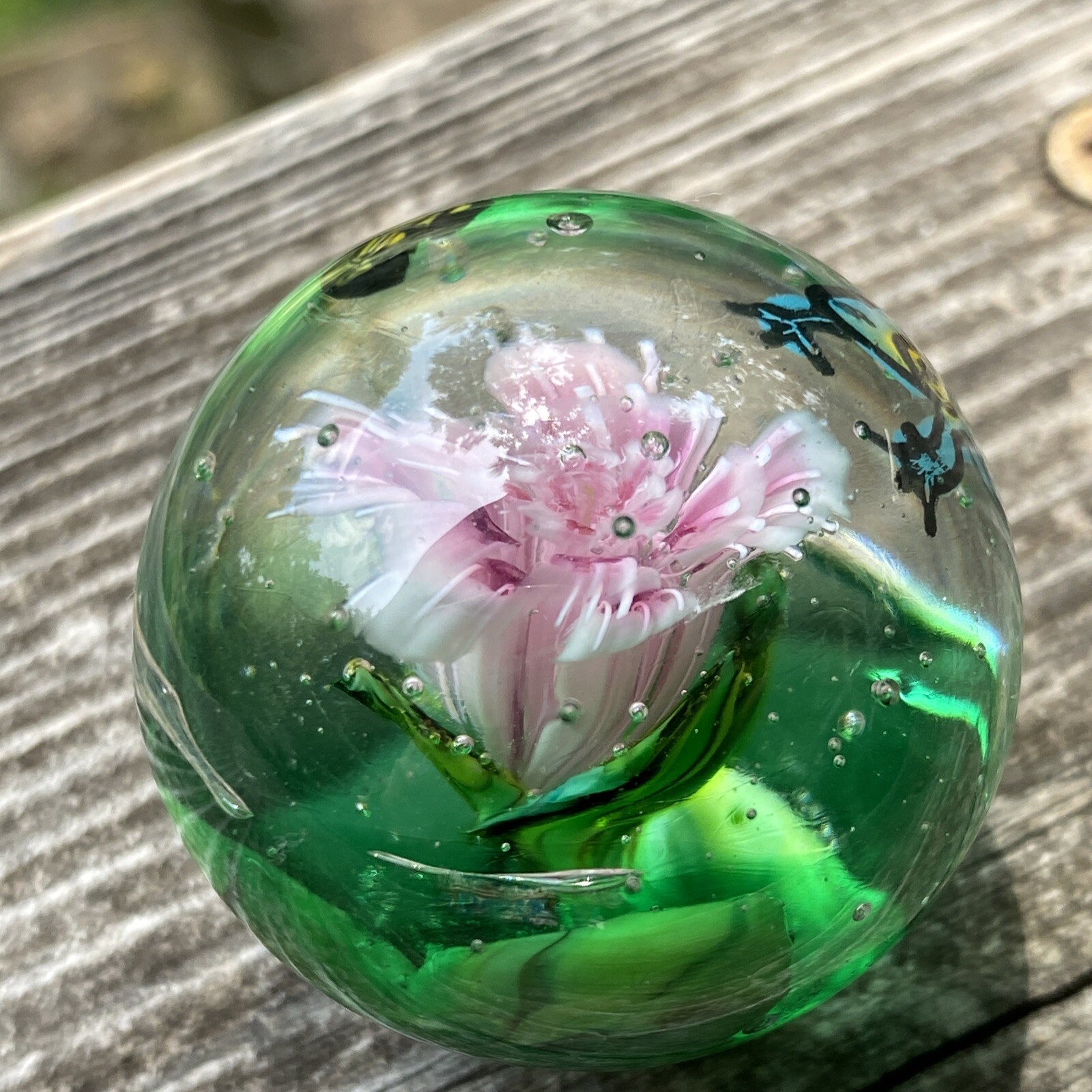 Handmade Glass Marble Healthy Frog Pond Sara Sally LaGrand