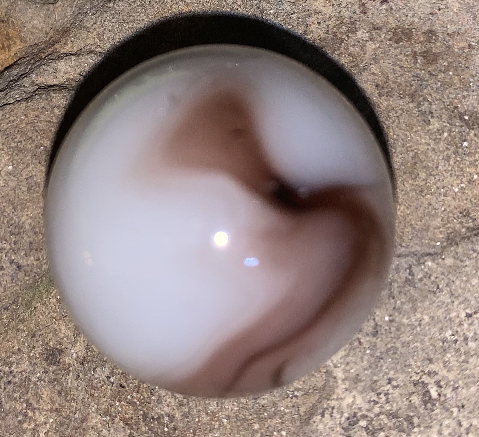 White & Brown Swirl Marble. Rare. 1″