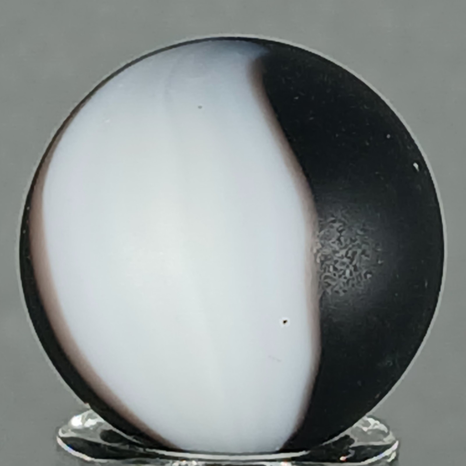 Vacor Panda 2 Marble .62 Inches Near-Mint Condition Combined Shipping