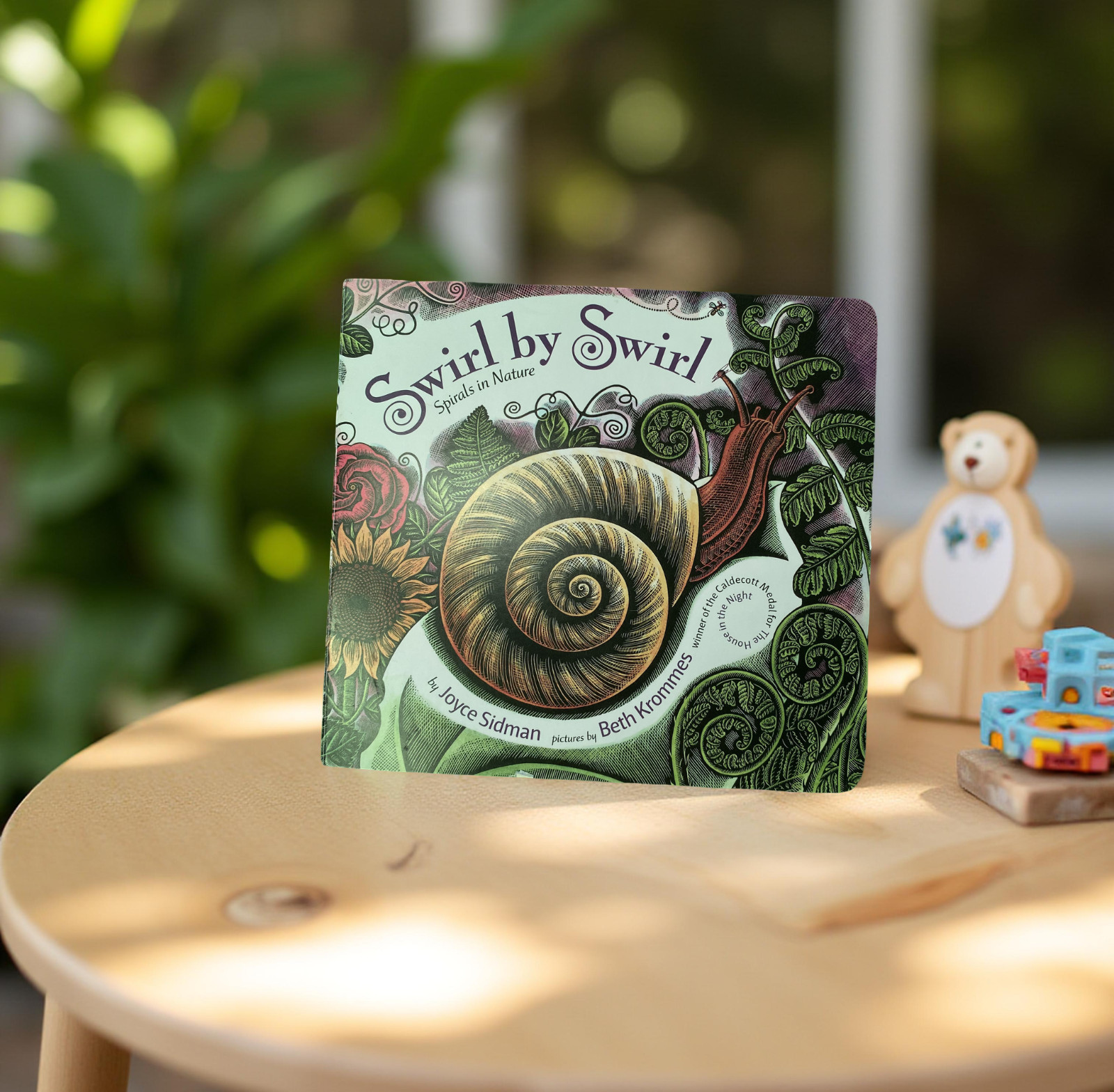 Swirl by Swirl Spirals in Nature Hardcover Children’s Book Joyce Sidman