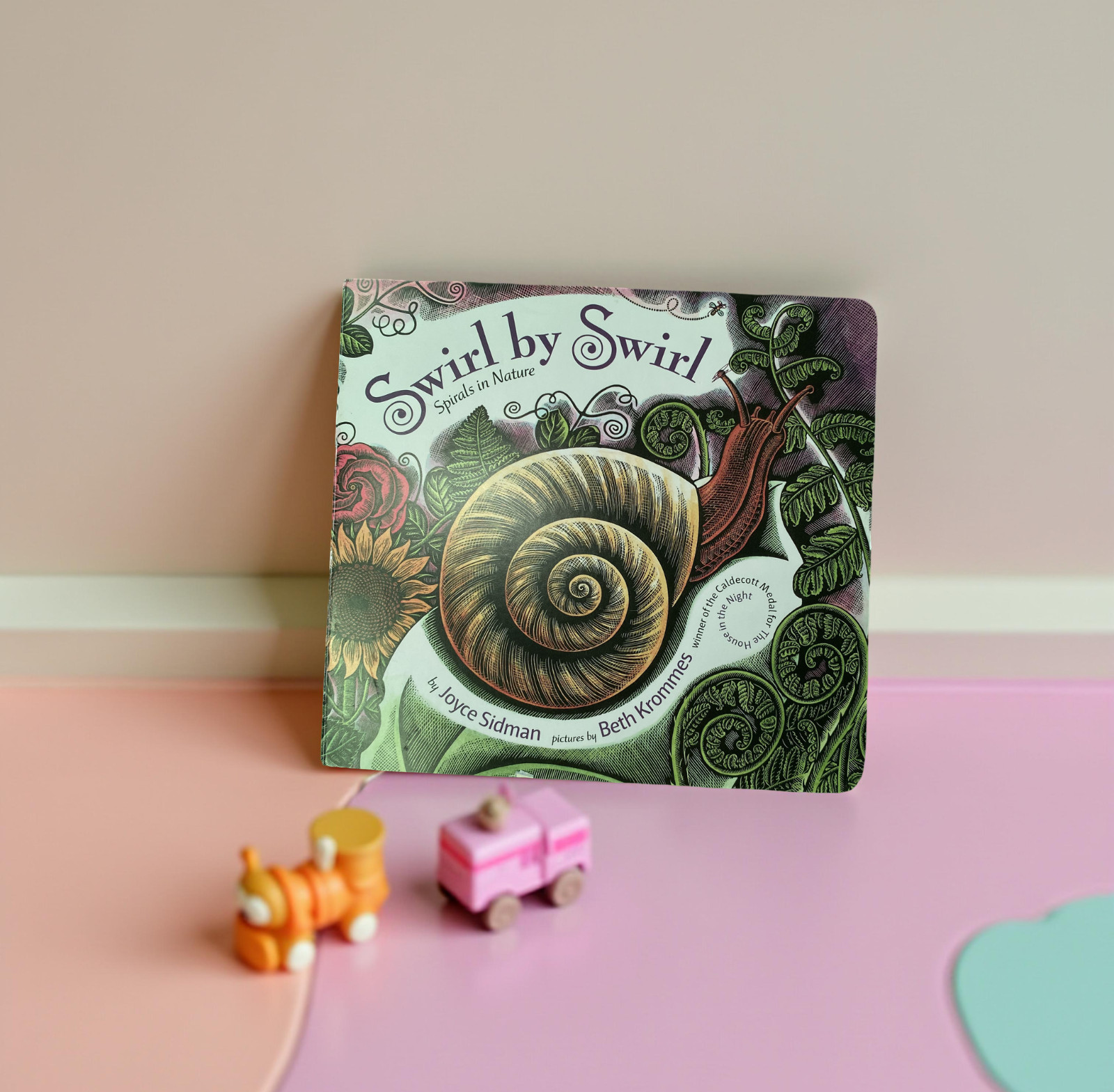 Swirl by Swirl Spirals in Nature Hardcover Children’s Book Joyce Sidman