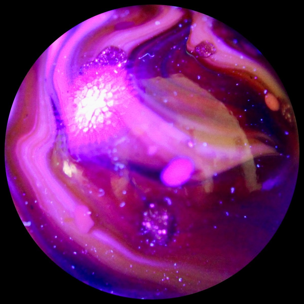 JABO Dave’s Fall Classic Marble Collector Series: Appalachian Valley Lutz Guinea