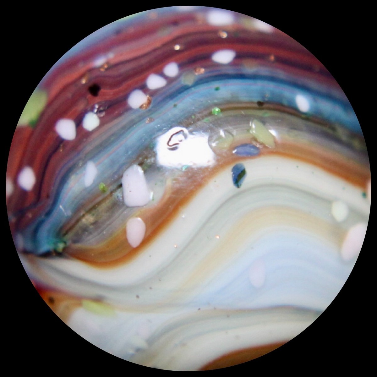 DAS Alley Silverback Marble Collector Series: Purple Rainbow Lutz Guinea