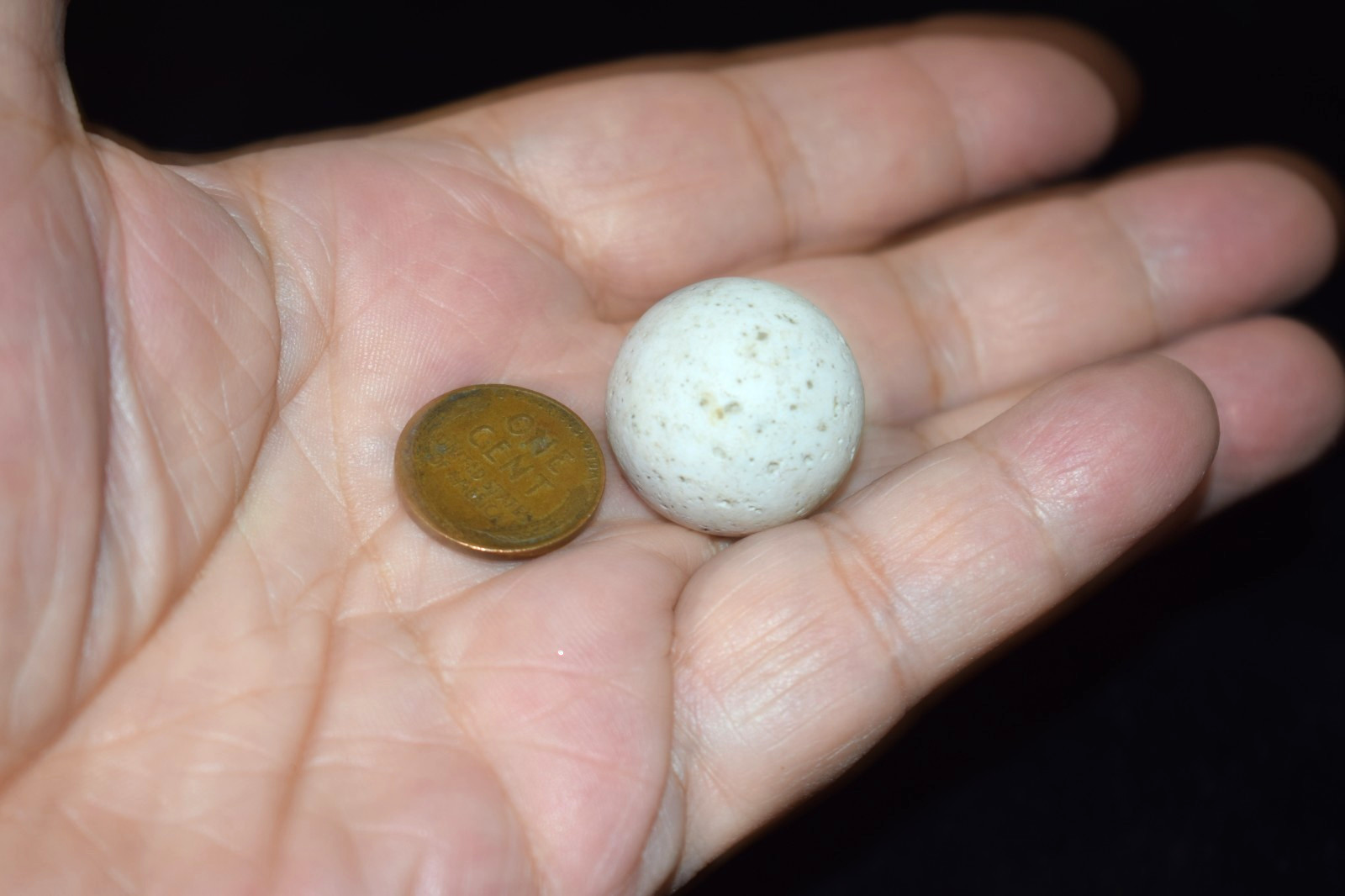 🐦➖⏩Antique Handmade speckled🦅birds egg clay marble Shooter .937″