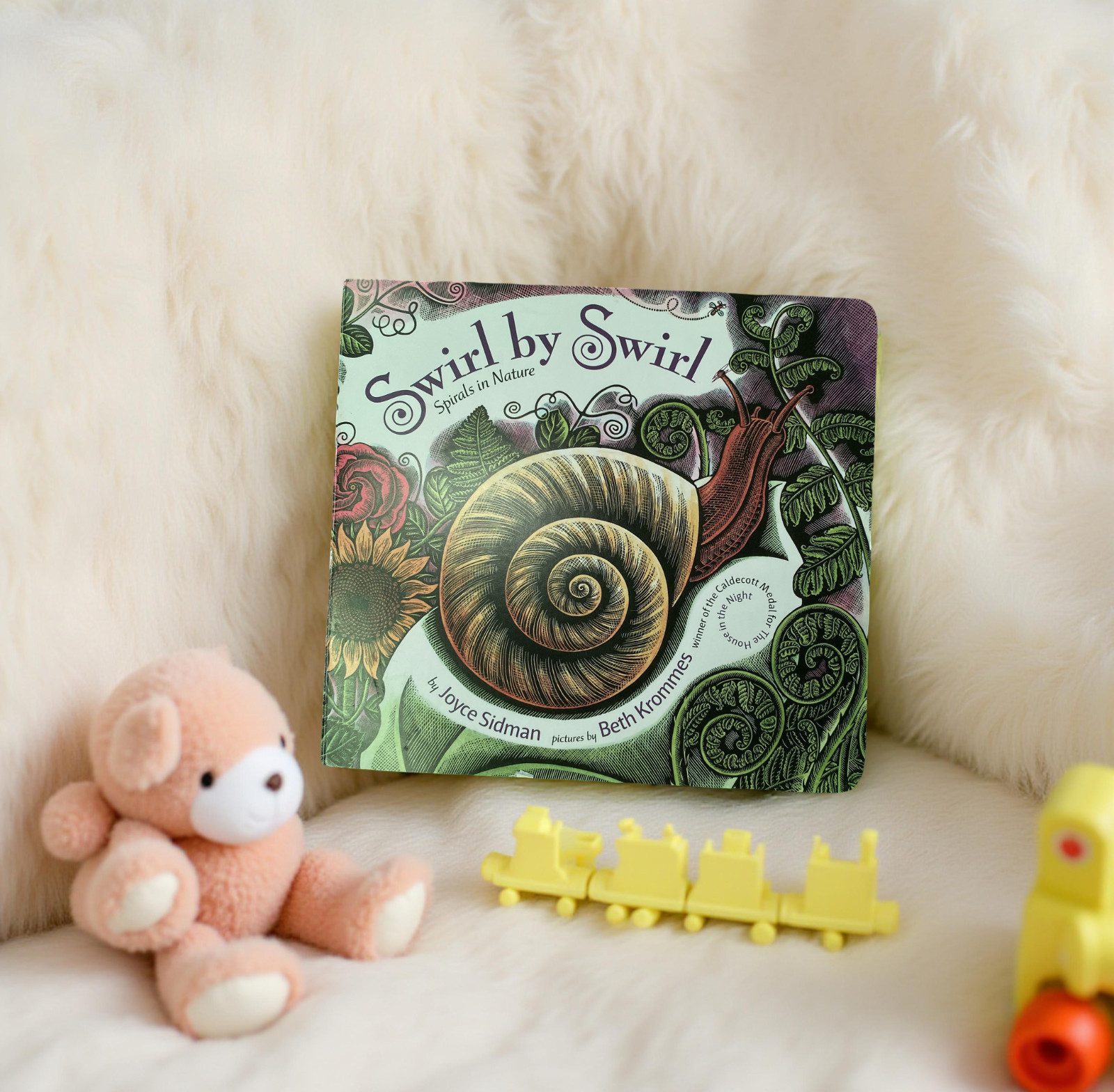 Swirl by Swirl Spirals in Nature Hardcover Children’s Book Joyce Sidman