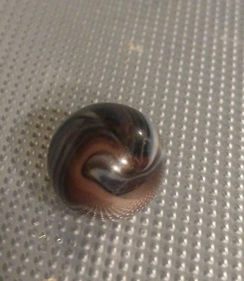 Vintage “Special “4 Color Oxblood Slag Marble Mint Condition