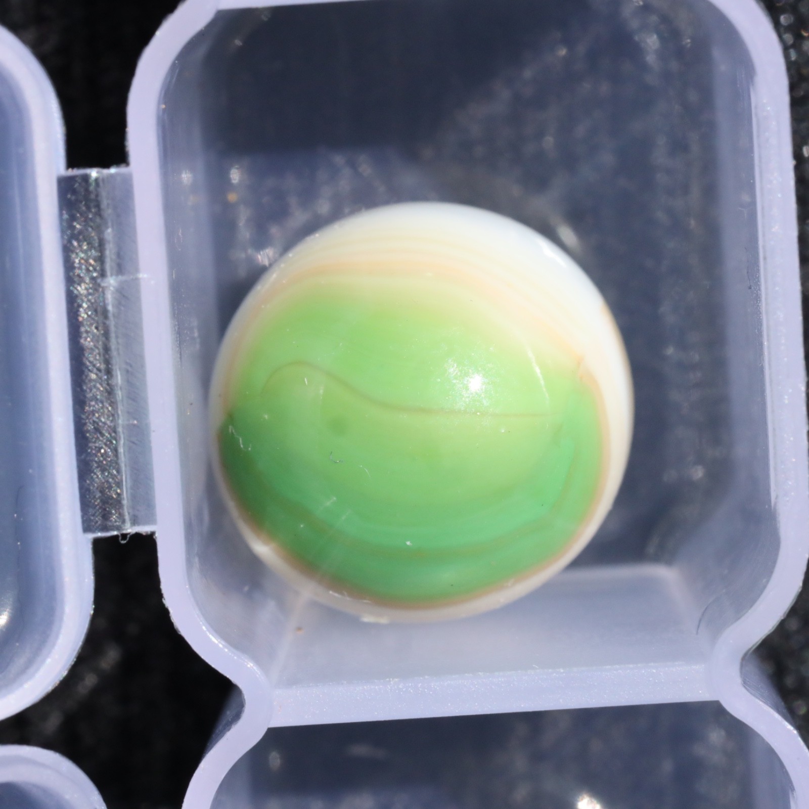 BEAUTIFUL MARBLE KING Rainbow Hybrid Green White Cream 5/8″ M