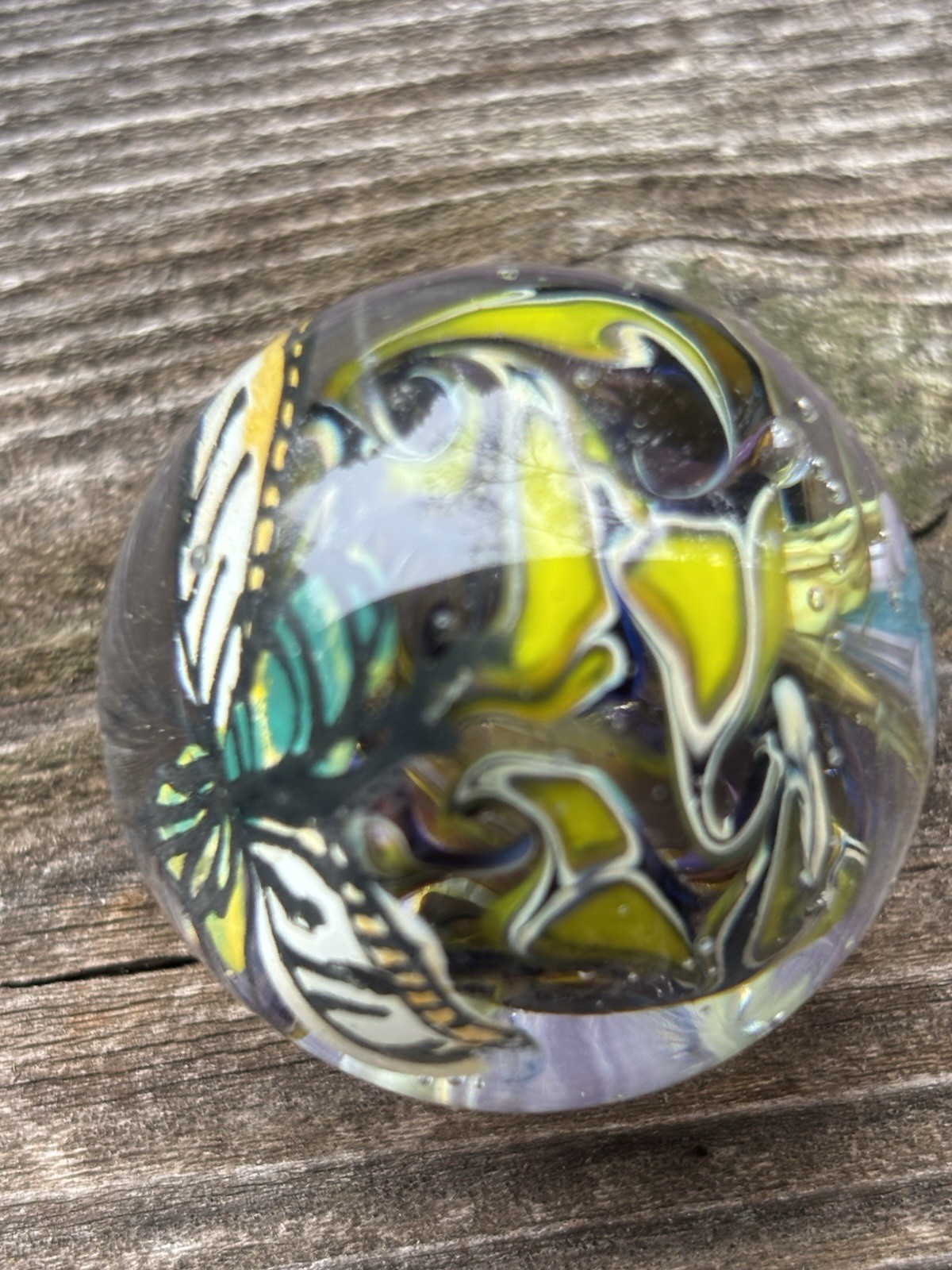 handmade art glass marble “fantasy bug ” By Sara Sally LaGrand Hand Painted