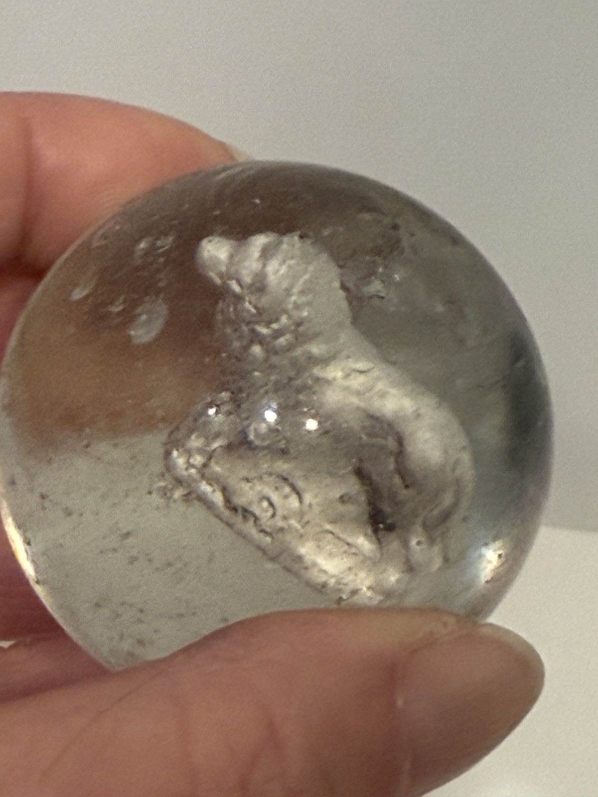Late 19th To Early 20th Century German Sulfide Marble Dog Inside