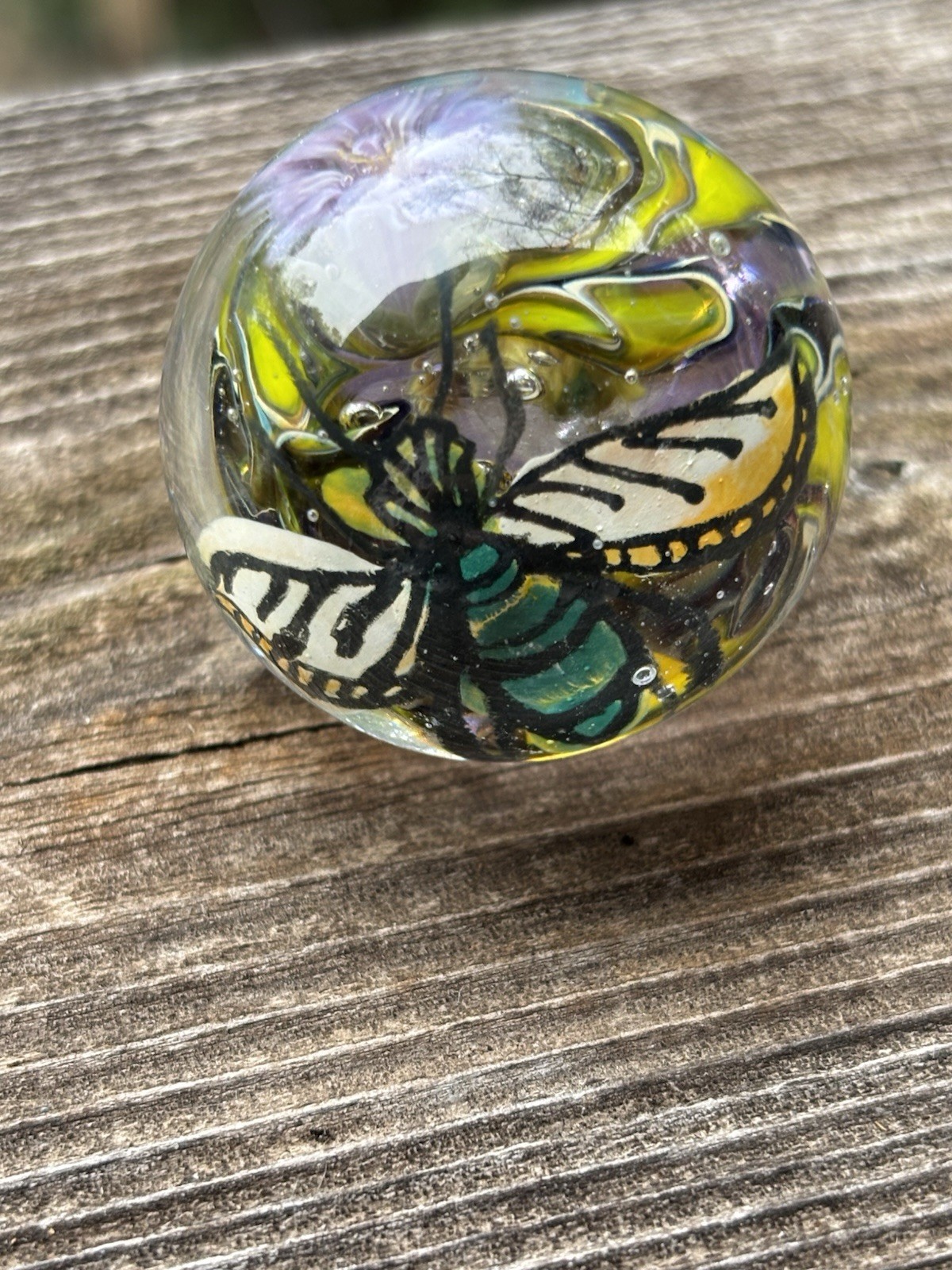 handmade art glass marble “fantasy bug ” By Sara Sally LaGrand Hand Painted