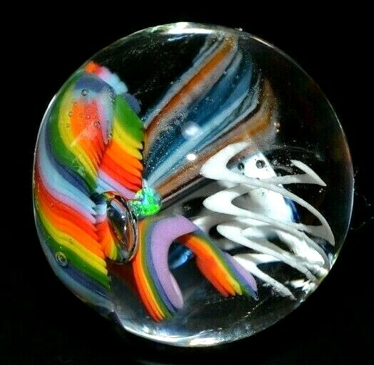 VINE GLASS MARBLE/1.184″-JELLYFISH FIELDS SMALL SAMPLER-WHITE SLINKY,RAINBOW FIL