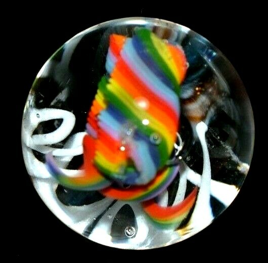 VINE GLASS MARBLE/1.184″-JELLYFISH FIELDS SMALL SAMPLER-WHITE SLINKY,RAINBOW FIL