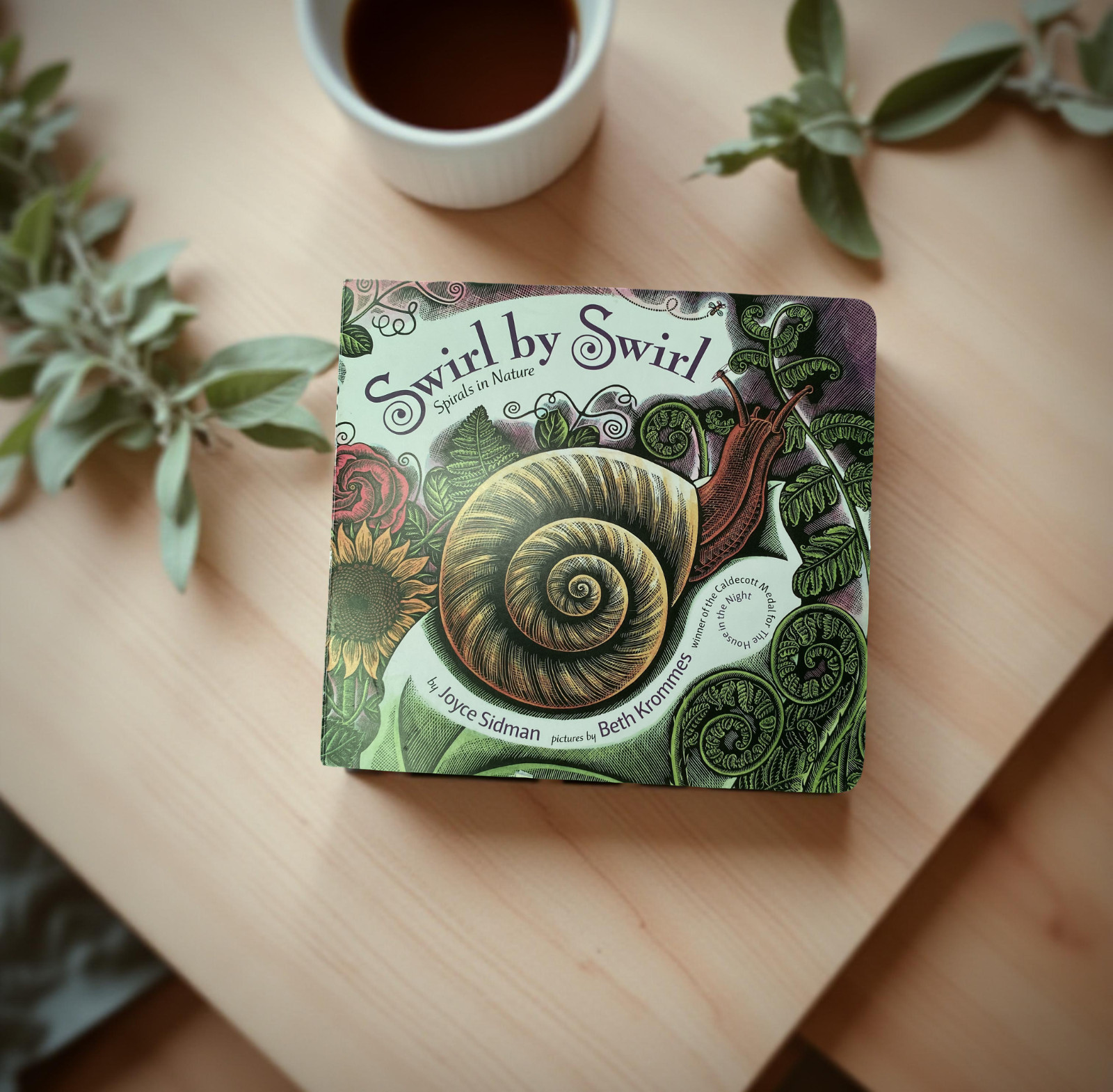 Swirl by Swirl Spirals in Nature Hardcover Children’s Book Joyce Sidman