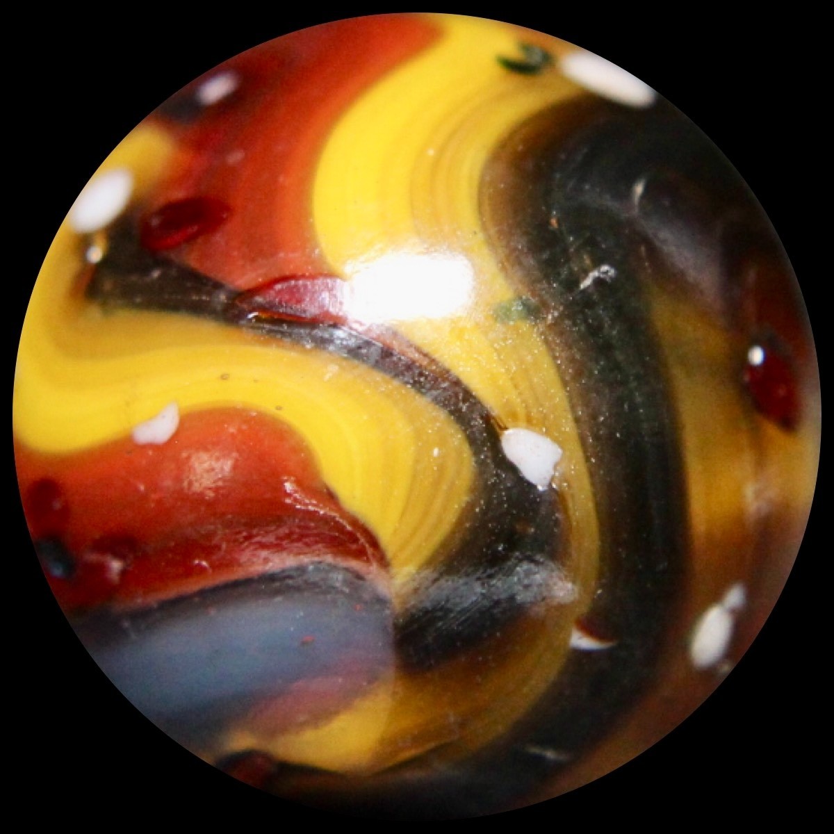 DAS Blue Moon Marble Collector Series: Oxblood Guinea