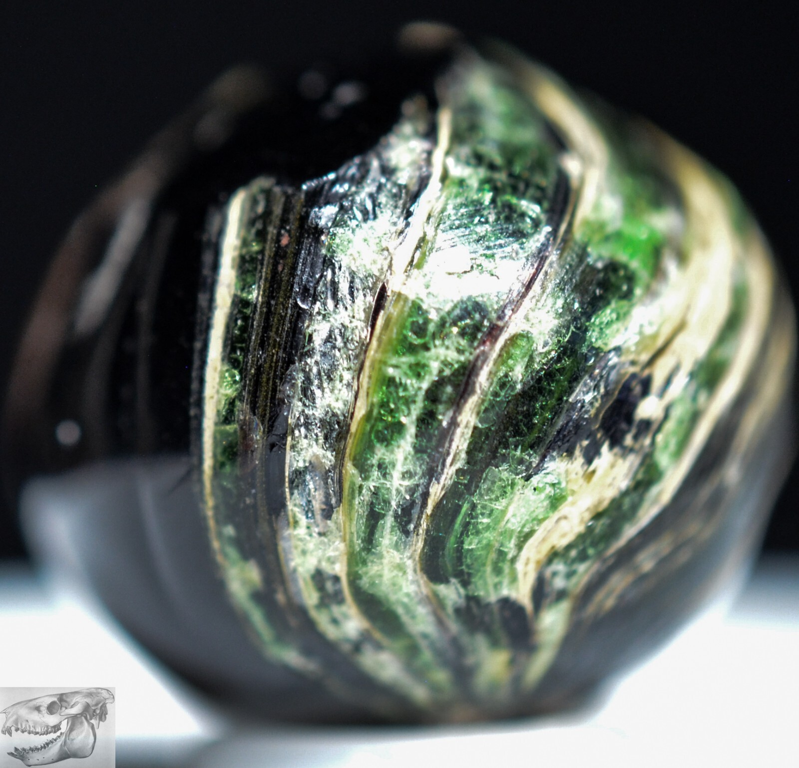 Handmade Indian Marble, Green & Yellow Teardrop 3/4 in Germany 1860-1920, S1123