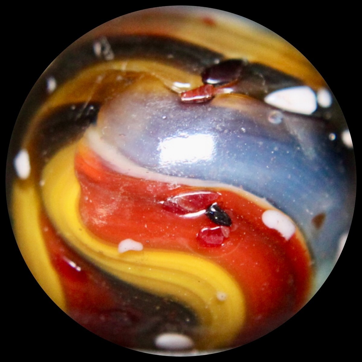 DAS Blue Moon Marble Collector Series: Oxblood Guinea