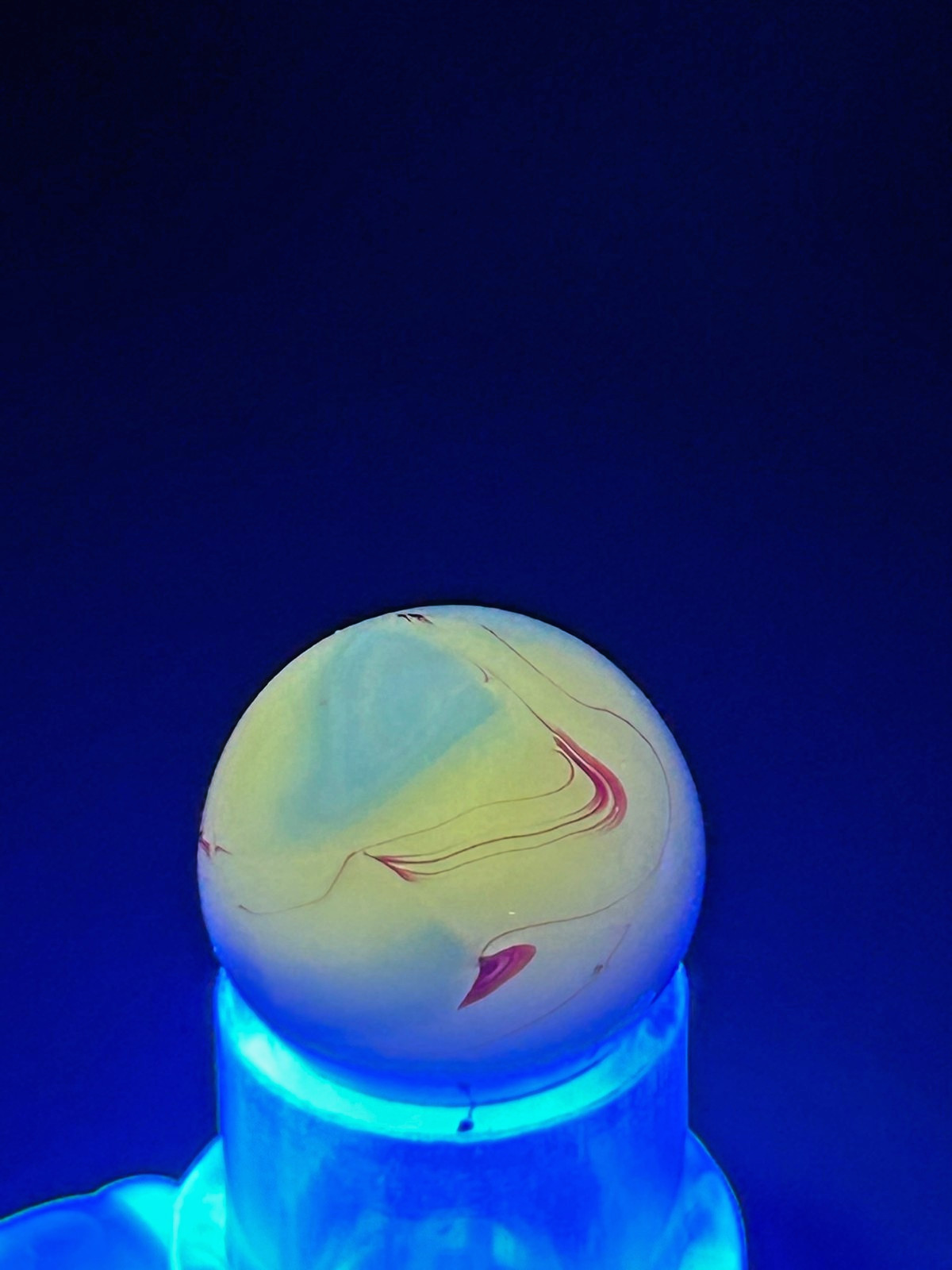 “The Ear” Alley Agate Swirl Marble Cobalt Blue/Oxblood Red .63″ Mint, OB16